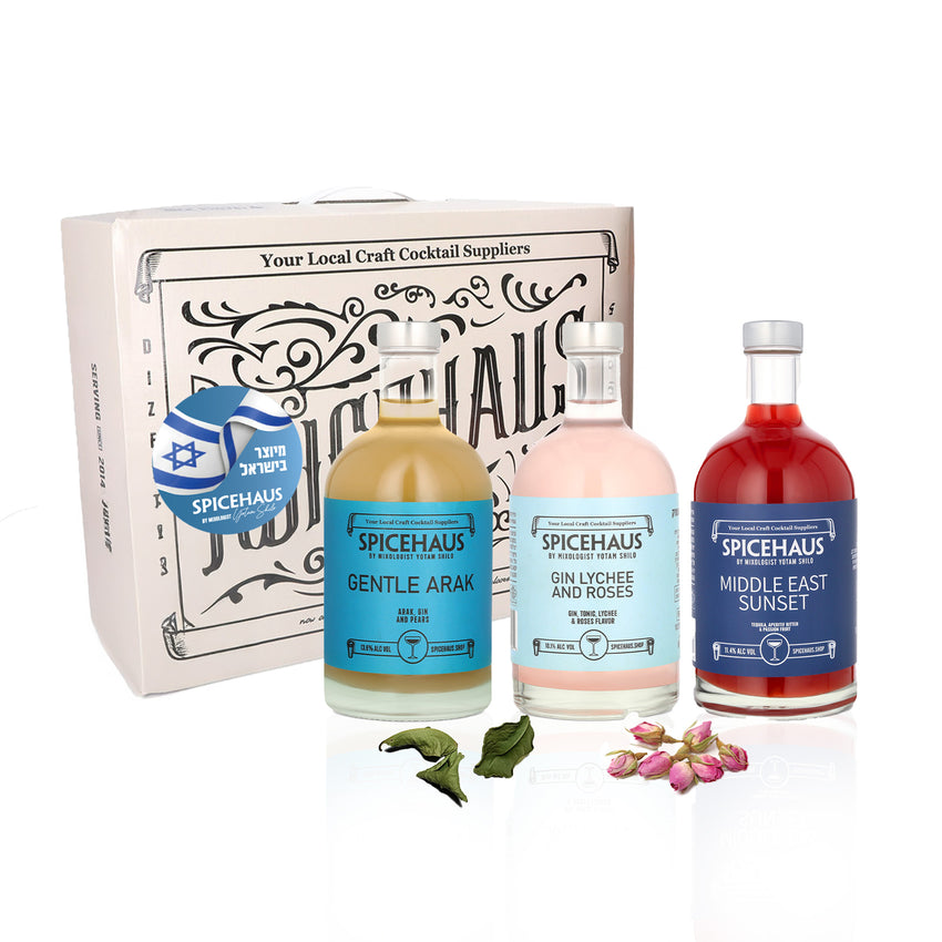 The Four Sons Box - Kosher for Passover